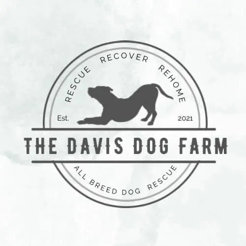 The Davis Dog Farm logo: Rescue, Recover, Rehome. All breed dog rescue, established 2021.