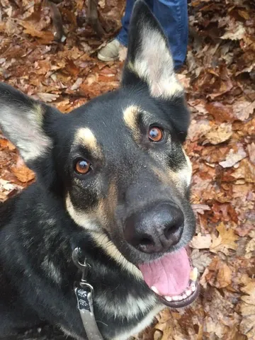 Lilly